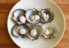Sò điệp hấp kèm tỏi chiên giòn