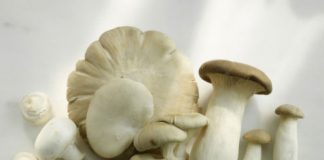 Cách giải độc khi ngộ độc thực phẩm bằng thuốc nam