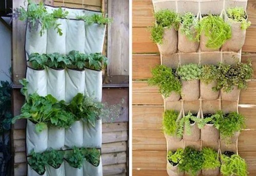 Các kiểu tái chế đồ cũ để trồng rau sạch tại nhà an toàn