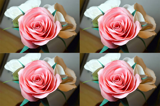 Khéo tay làm hoa hồng bằng giấy đẹp y như thật