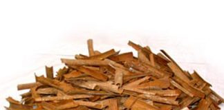 Hướng dẫn bài thuốc hay từ hoa quế