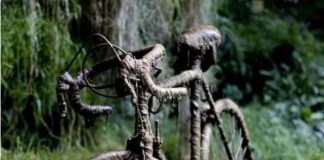 Hang "thần thánh" có thể biến mọi thứ thành đá