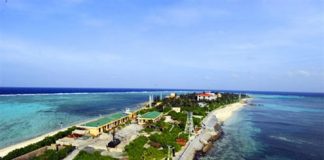 Vương quốc đu đủ trên đất Việt