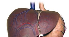 Những điều lưu ý về viêm gan siêu vi