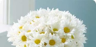 8 cách cắm hoa cúc mang sung túc vào nhà