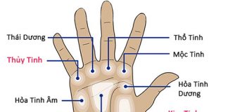 Đoán vận đào hoa của chị em qua bàn tay