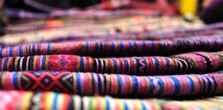 Du xuân trên rẻo cao Tây Bắc