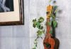 Bonsai trong trang trí nội thất