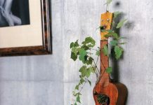 Bonsai trong trang trí nội thất