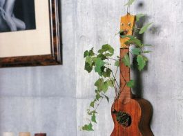 Bonsai trong trang trí nội thất