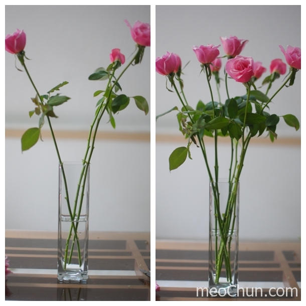 2 cách cắm hoa hồng thơm đẹp nhẹ nhàng - 4