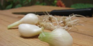 Cách muối hành củ ngon giòn ngày Tết ai ăn cũng khen