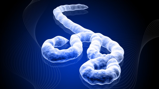 Cách diệt virus Ebola bằng xà phòng