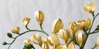 'Nhắm mắt' làm hoa giấy đơn giản trang trí nhà cuối tuần