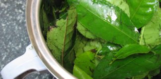 Hướng dẫn chế sữa rửa mặt từ trà xanh