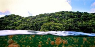 Những hiện tượng thiên nhiên kỳ bí thách thức khoa học