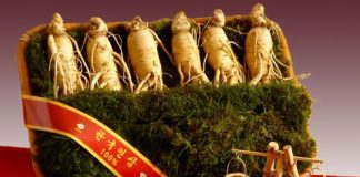 4 liệu pháp đơn giản giúp bỏ thuốc lá ngay tức thì