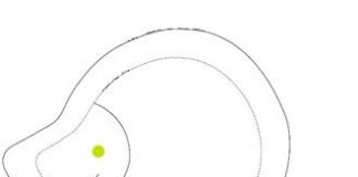 Cách làm chú nhím vải siêu kute cho bé yêu