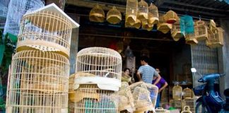 Rảnh rang về thăm làng Vác