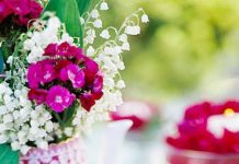 5 ý tưởng thú vị và đơn giản để làm đẹp khu vườn nhà bạn 1