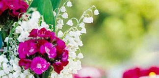 5 ý tưởng thú vị và đơn giản để làm đẹp khu vườn nhà bạn 1