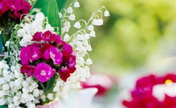 5 ý tưởng thú vị và đơn giản để làm đẹp khu vườn nhà bạn 1