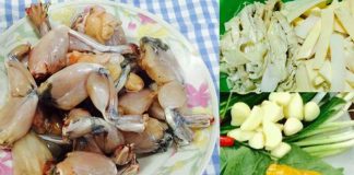 Cách làm ếch xào măng chua ngon hấp dẫn cho bữa tối