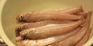 Cá bống kho tiêu dân dã mà đưa cơm