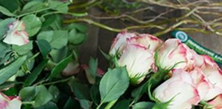 Cách cắm hoa hồng ngày Valentine tuyệt đẹp tặng nửa kia