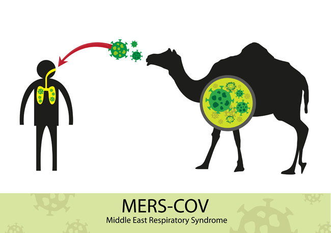 Sự thật nguy hiểm của dịch bệnh MERS-CoV bạn nên biết