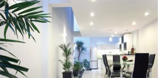 Làm sao để đặt cây xanh đúng cách trong công sở