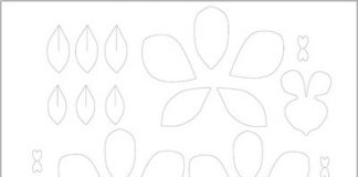 tu-lam-hoa-lan-tim-dep-trang-tri-nha-1