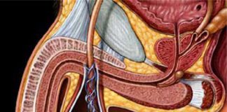 Cẩn thận ung thư tinh hoàn nếu không muốn "mất giống"