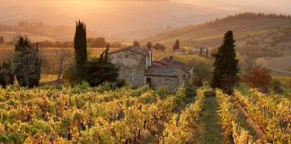 Tham quan những vườn nho nổi tiếng thế giới