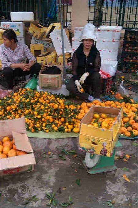 Tiết lộ rợn người của chủ buôn hoa quả Trung Quốc 15 năm
