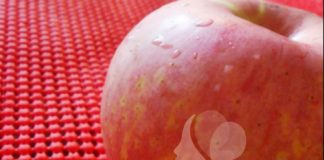 Nhật ký Hana: Trắng da cấp tốc đón Noel - 1