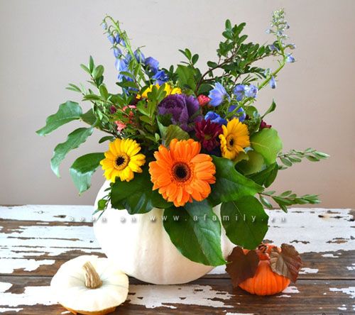 8 cách cắm hoa cúc mang sung túc vào nhà