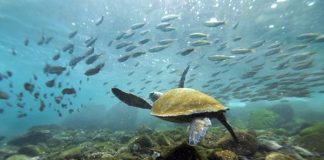 Những lộ trình hoang dã hấp dẫn nhất 2013