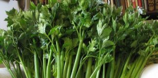 Thực phẩm giúp chống chướng bụng ngày Tết