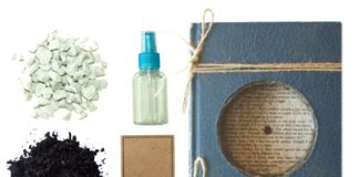 Cách trồng cây lên sách cũ cực lạ trang trí bàn - 1