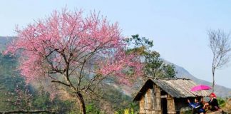 Lào Cai quyến rũ quanh năm