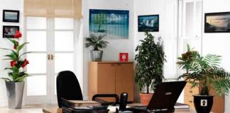 Bài trí phòng làm việc cho ngành kế toán