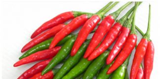 Công dụng của ớt chỉ thiên với sức khỏe con người