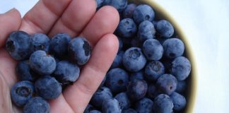 9 thực phẩm giúp cai nghiện thuốc lá hiệu quả