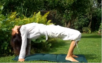 5 động tác yoga để 'trẻ mãi không già'