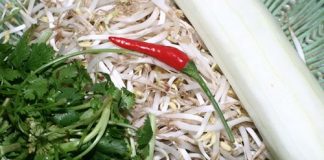 Nộm tai và giá đỗ thơm mát