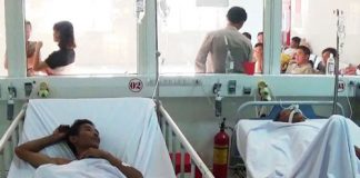 Nghệ An: Ăn phải cá nóc độc, 8 người nhập viện cấp cứu