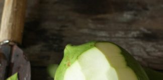 Cách làm gỏi đu đủ bò khô hấp dẫn đầu tuần