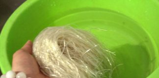 bữa-sáng-ngon-lành-mới-mẻ-với-món-miến-chim-cút-1