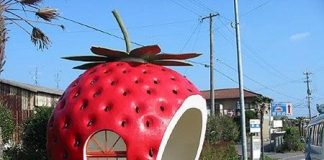 Những bến xe bus chờ lâu cũng không chán